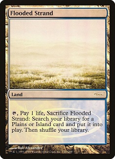 Flooded Strand DCI